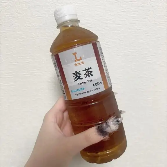 また会いに来てね